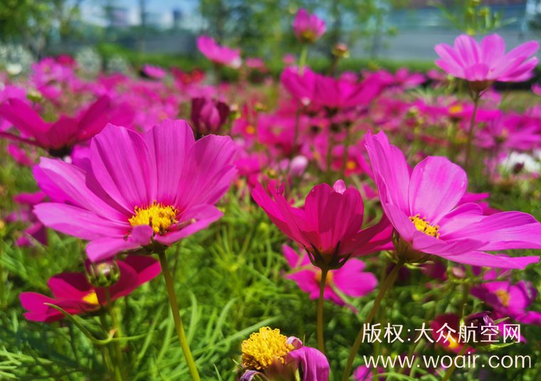 东莞塘厦租房攻略：临深镇里选择最杂的一个，五百能租到房，但别只看价格